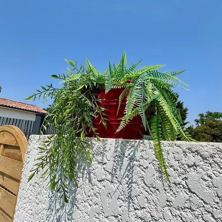 L'anatolé - Maison Neuve- Spa-clim - Vue Campagne - 6 Personnes * Giroussens